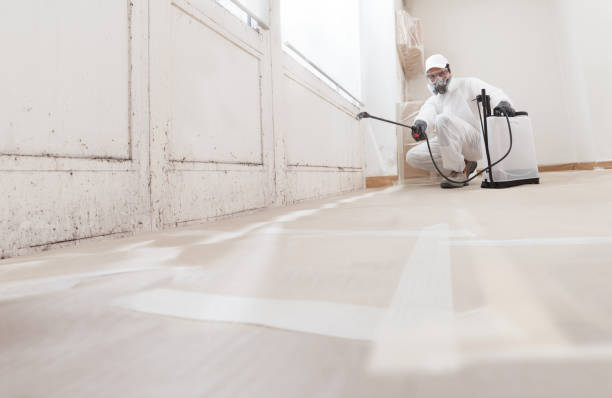 24/7 Emergency Mold Inspection experts in Reading, PA