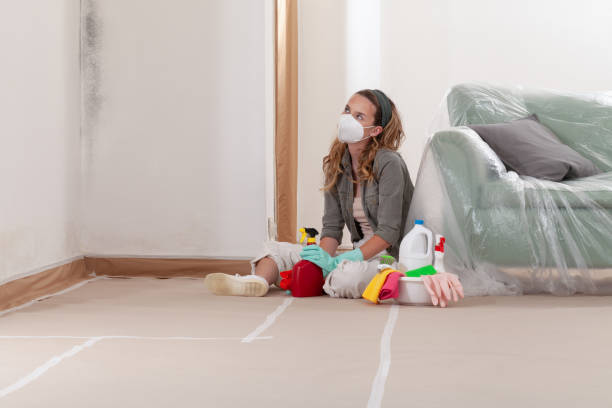 Trusted Mold Inspection service in Reading, PA - WQB Mold Removal